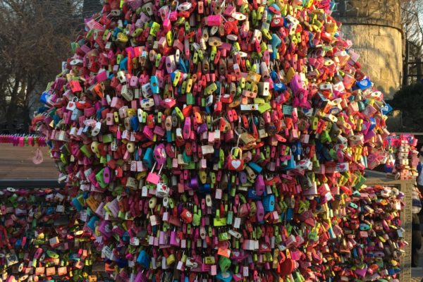 locks of love tree